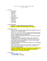 2021-01-11 Committee Minutes